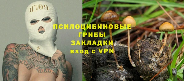 экстази Горняк